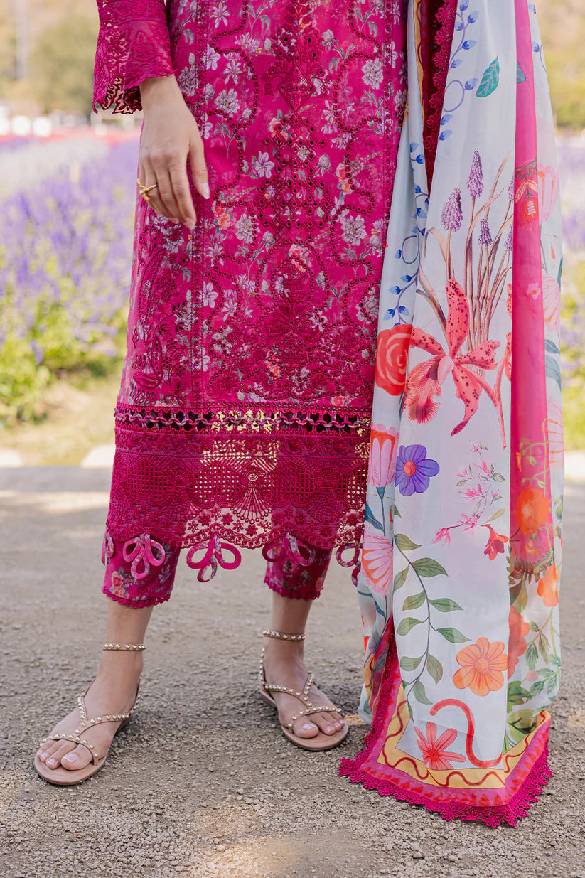 FARYAL (AV-08)